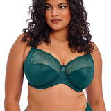 Elomi Morgan Plain Stretch Banded Bra