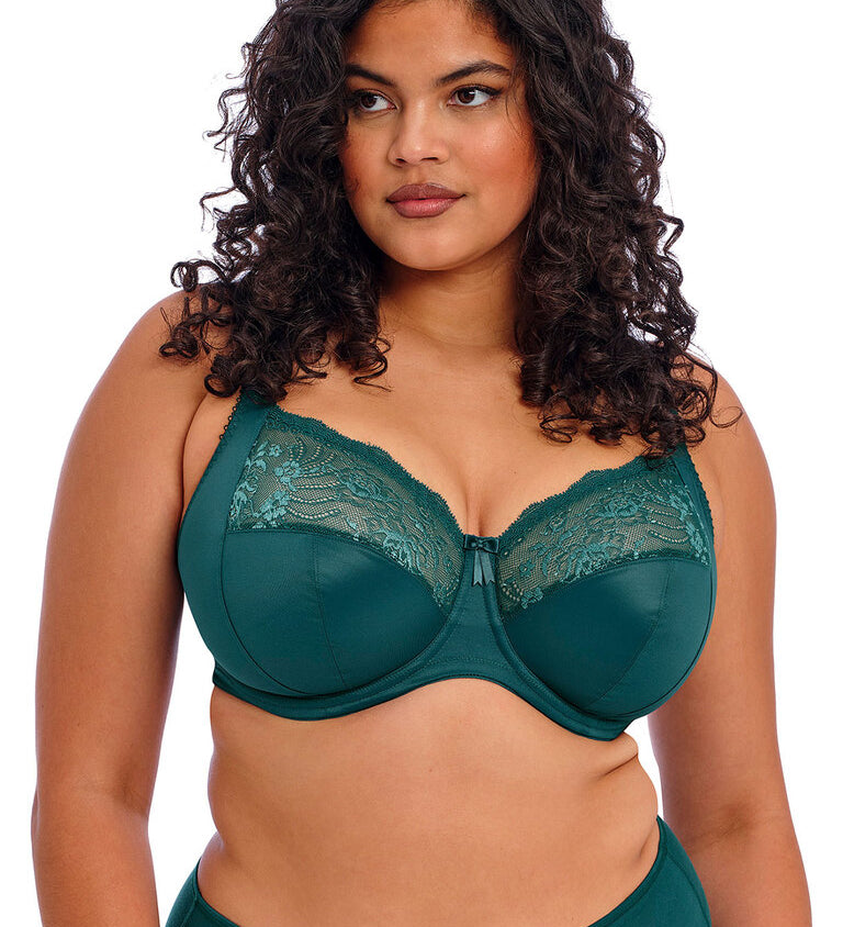 Elomi Morgan Plain Stretch Banded Bra